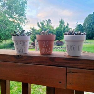 Set of 3 succulent pots